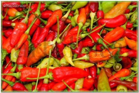 Chiles 1