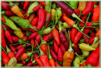 Chiles 2