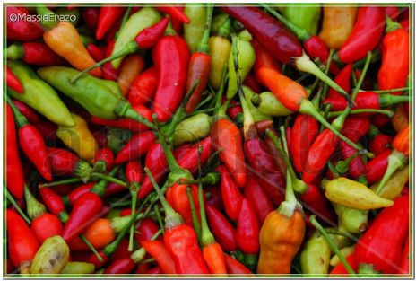 Chiles 2