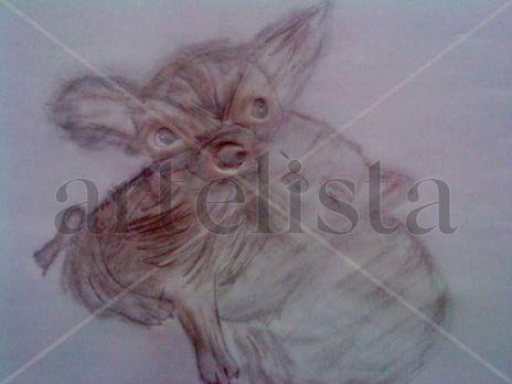 Perritos