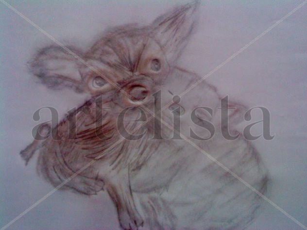 perritos
