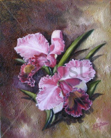 La  mirada de las orquideas Oil Canvas Floral Painting