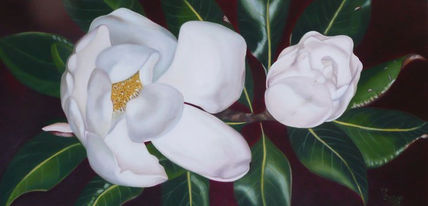 Doble Magnolia    "...