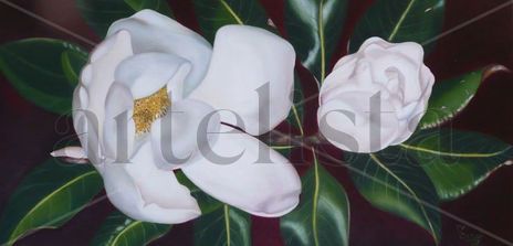 Doble Magnolia    "...