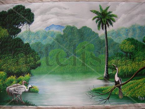 Isla del coco.costa...