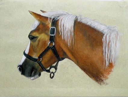 Retrato de Caballo Pastel Papel Animales