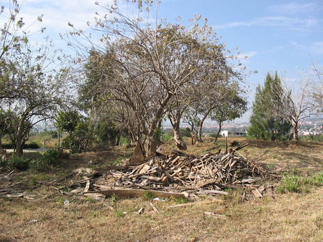 Recuento de los daños
