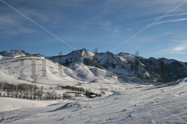 URBIA