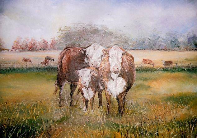 "Hereford" Oil Canvas