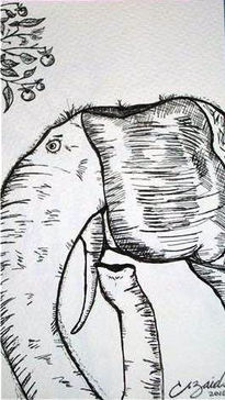 Elefante