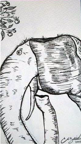 Elefante
