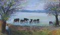 vacas tomando agua