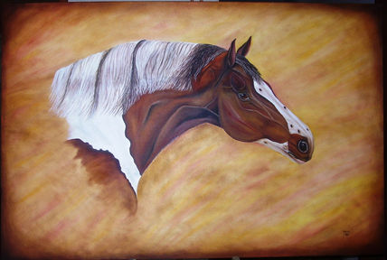 Caballos