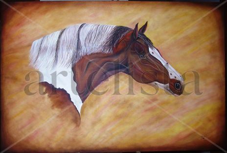 Caballos
