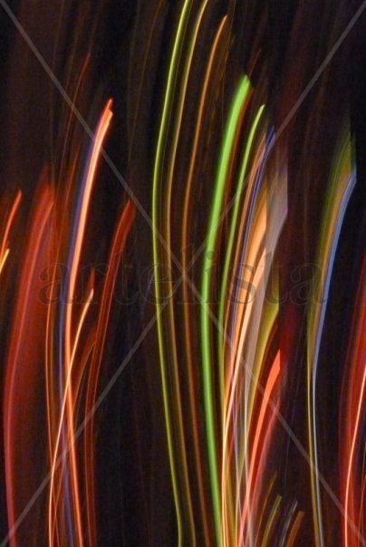 Palmera