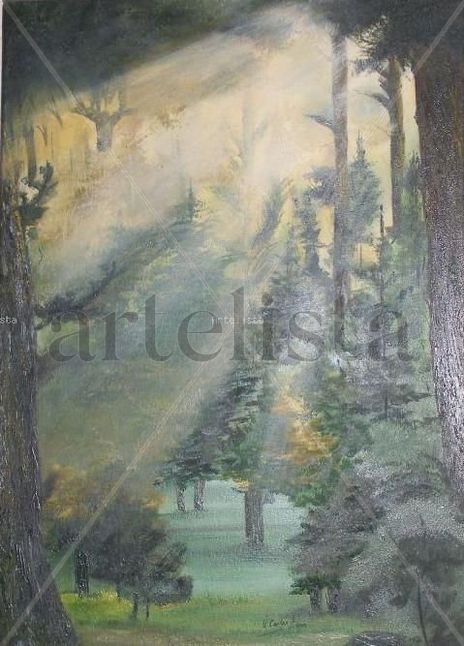 Bosque "Rocas de...