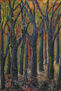 Bosque