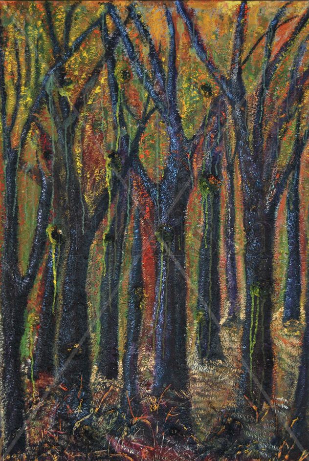 Bosque