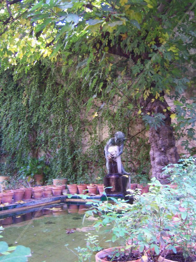 jardin