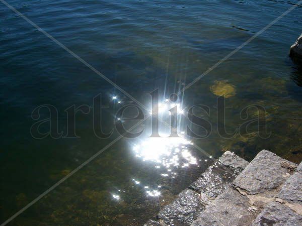 Reflejos