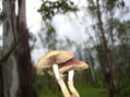 regalos de la madre naturaleza