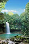 SALTO FANTASIA