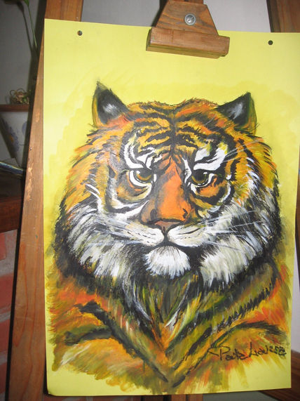 Tigre