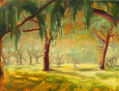 Bosque de siesta