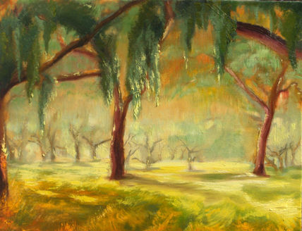 Bosque de siesta