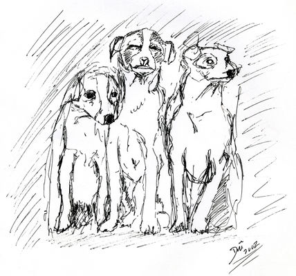 Perritos