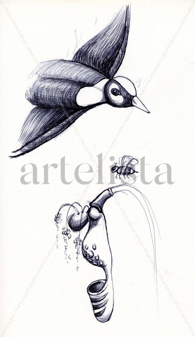 The Swallow, the bee and the orchid.