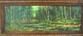 Paisaje Natural