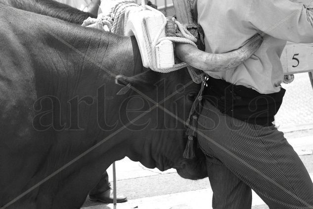 FOTO Nº 8 Fotoperiodismo y documental Blanco y Negro (Digital)