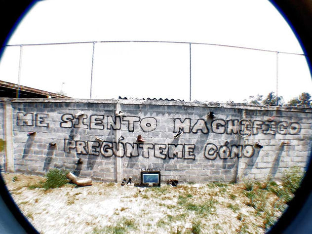 no titulo