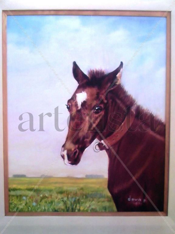 ESTRELLITA