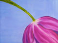 Flor