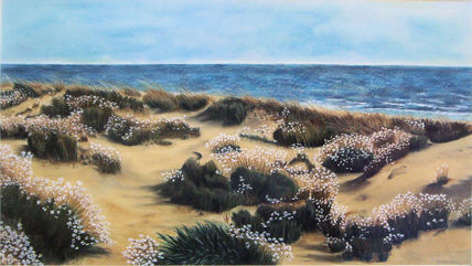 Dunas