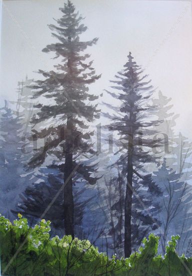 Niebla Watercolour Paper Landscaping