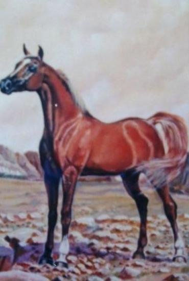 ARABE EN EL PEDREGAL Oil Canvas Animals