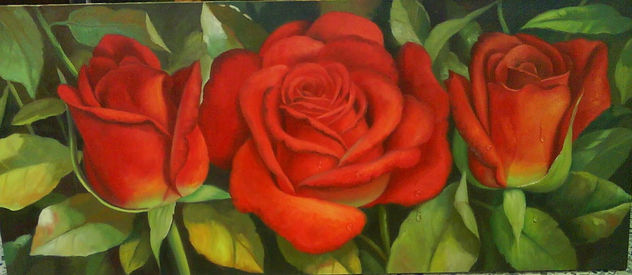 Belleza que hiere