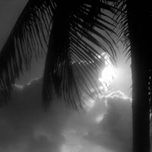 Cozumel en B/N thumbnail 1