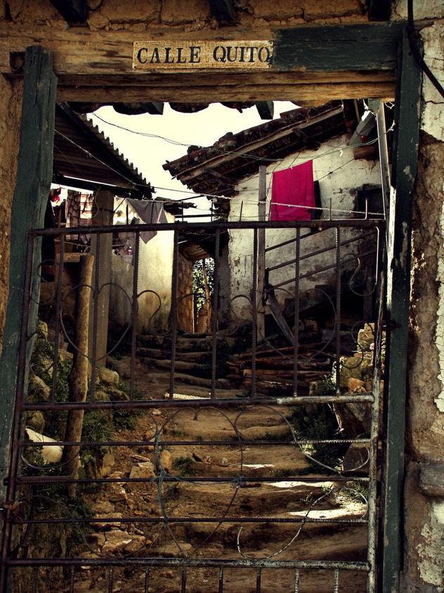 calle quito