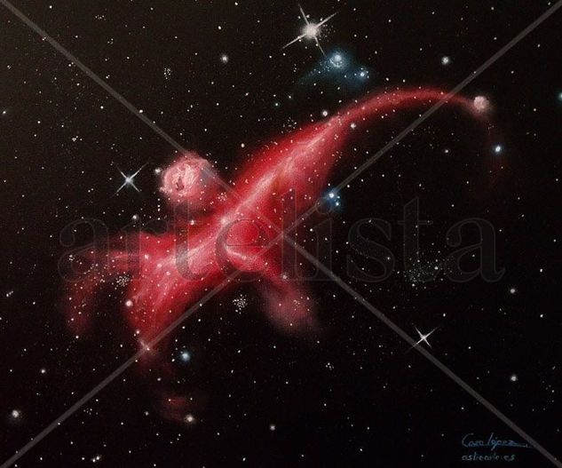 Nebulosa de La Gaviota Oil Canvas Others