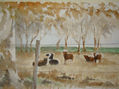 VACAS DE SANTA FE