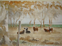 Vacas de santa fe