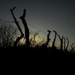 Puestas de sol thumbnail 1