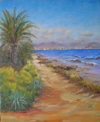 playa los Arenales 3