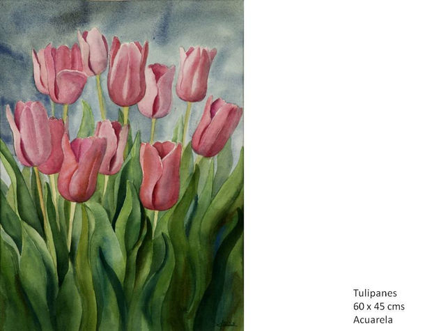 Tulipanes 