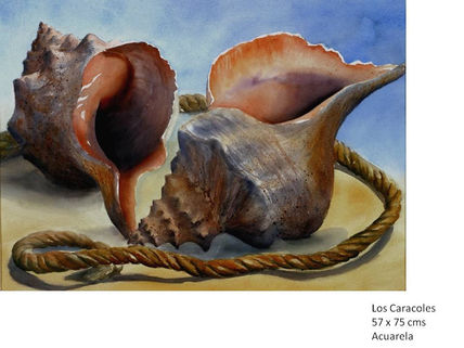 Los Caracoles