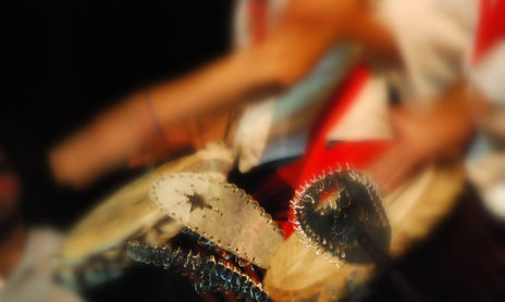 BEMBÉ Muestra Anual 2009